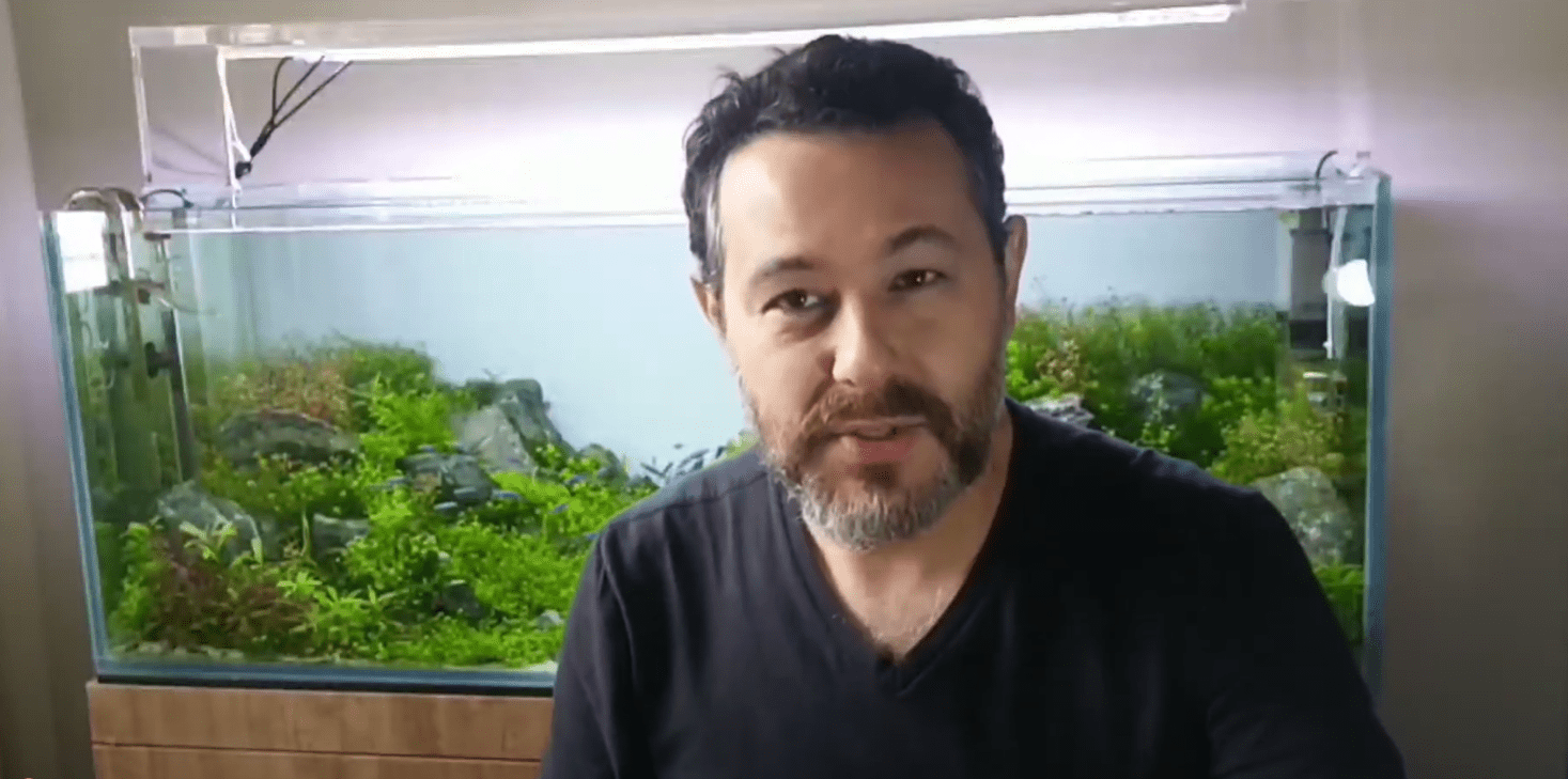 Aquário Plantado