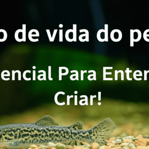 Ciclo de vida do peixe: O Essencial Para Entender e Criar!