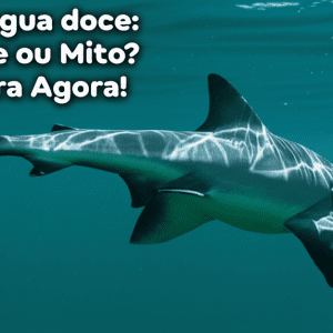 Cação agua doce: Verdade ou Mito? Descubra Agora! 