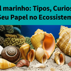 Caracol marinho: Tipos, Curiosidades e Seu Papel no Ecossistema! 