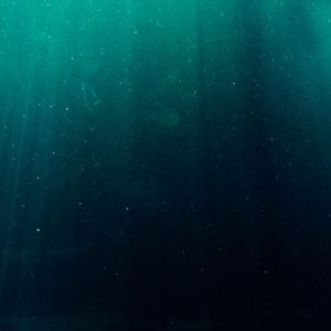 Quais os cuidados necessários para criar um peixe Aruanã?