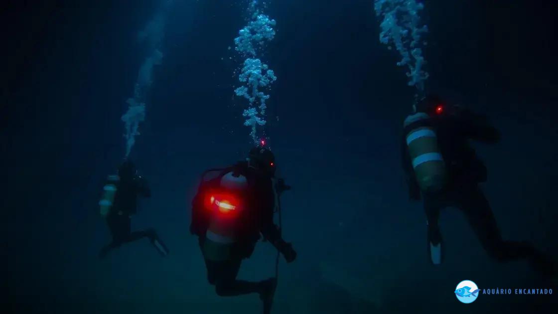 Desafios do mergulho em grandes profundezas Desafios do mergulho em grandes profundezas
