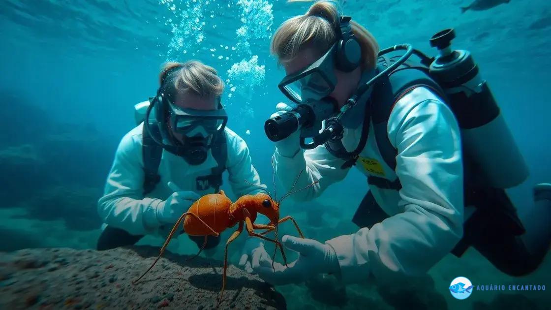 Pesquisa científica e estudos de campo Pesquisa científica e estudos de campo