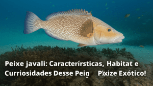 Peixe javali: Características, Habitat e Curiosidades Desse Peixe Exótico! 