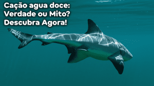 Cação agua doce: Verdade ou Mito? Descubra Agora! 